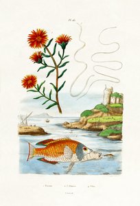 Coppers Hardy Ice Plant, 1833-39 af French School