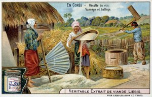 Coree: rishøst, vævning og tærskning - chromo. Liébig, v.1900 af French School