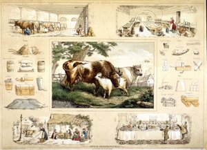 Ko og dens produkter (malkning, mejeriprodukter) af French School