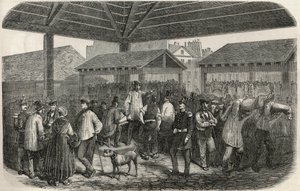 Skaber slagterkød på markedet på rue des Prouvaires i 1. arrondissement i Paris - Indgravering i "Tableau-de-Paris"" af Edmond Texier 1852 af French School