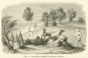 Cynocephales kæmper mod skovmonstre (gravering) af French School