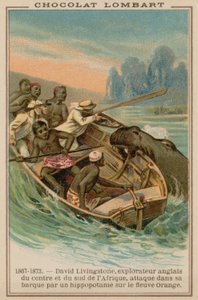 David Livingstones båd bliver angrebet af en flodhest på Orange River, Afrika, 1867-1873 af French School