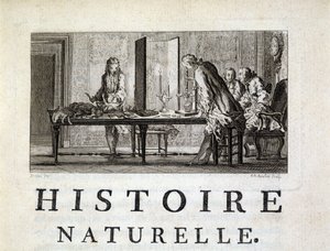 Dissektion der Tiere - in „Histoire naturelle, générale et particulière“ von Buffon