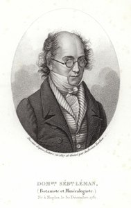 Dominique Sebastion Leman af French School