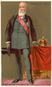 Don Pedro II, kejser af Brasilien af French School