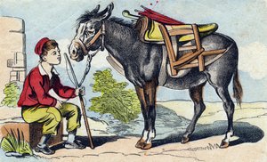 Æsel. Indgravering i "Buffon Alphabet des Animaux". 3. serie N 1. Billeddannelse af Epinal, Epinal, slutningen af 1800-tallet. 16 sider. Mål: 28x21cm af French School