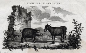 Æsel og orne. Fabel om Esope. (Græsk forfatter Esopo eller Ecopus, 6. århundrede f.Kr.) Skrevet af Guillaume Montfort og Gravees af Beauble i 1801. af French School