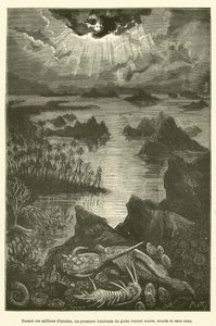 I løbet af disse millioner af år var klodens første indbyggere stumme, døve og uden sex (gravering) af French School