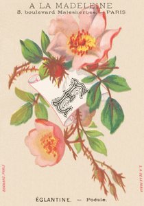 E: Eglantine - Poesi af French School