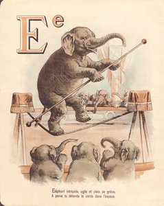 E: Elefant, ekvilibristisk frygtløs elefant, adræt og fuld af ynde, slapper knap nok af i rebet i rummet af French School
