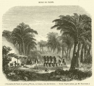 Fremstilling af palmeolie i Whyda, Guinea, Slave Coast (gravering) af French School