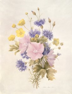 Markblomster, 1842 (wc på papir) af French School