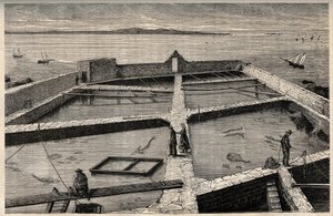 Fiskeopdræt i Concarneau - Bretagne - Establishment de pisciculture - Concarneau - Finistere - Bretagne - gravering i "" PATRIE" - BILLEDEKRAV BESKRIVELSE AF FRANKRIG I 6 BIND AF LUCIEN HUARD - slutningen af ​​1800-tallet af French School