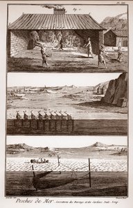 Fiskeri, sild og sardiner - Peches de Mer - Sorretterie des herring et des sardines - "" La Grande Encyclopédie, ou Dictionnaire Raisonne des Sciences, des Arts et des Metiers"" (Encyclopedia or Dictionary of the Sciences, Arts and Professions) af Deni af French School