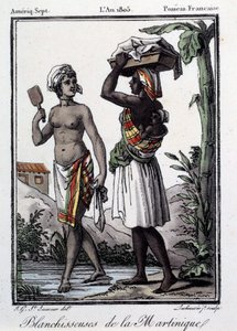 Franske kolonier: hvidtemidler fra Martinique til Vestindien. Stik fra 1805. Chartres, Museum of Fine Arts af French School