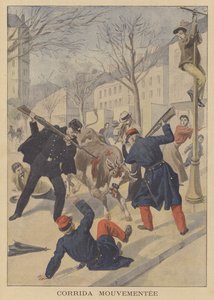 Franske soldater og politi dræber en undsluppen ko i Limoges af French School