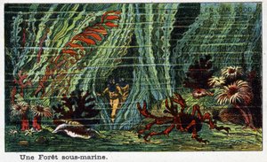 Futuredays: A Nineteenth Century Vision of the Year 2000 - Serie "" En l