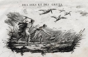 Gæs og traner - Fable d