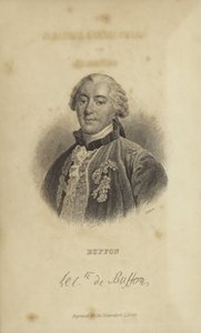 Georges-Louis Leclerc, greve af Buffon af French School