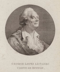 Georges-Louis Leclerc, Comte de Buffon, fransk naturforsker (gravering) af French School