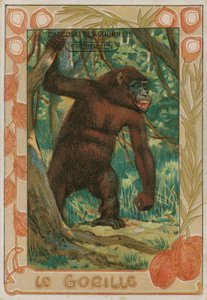 Gorilla af French School