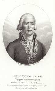 Guillaume Antoine Olivier af French School