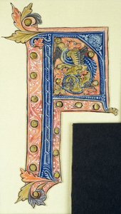 Historikert initial P, der viser en bevinget griffin af French School