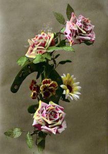 Hestesko og blomster ca. 1898 (håndfarvet foto) af French School