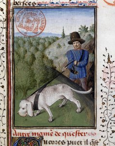 Jagthund holdt i en flirtende snor - i "" Jagtbog af Gaston Phoebus, greve af Foix, Lord of Béarn"" af French School
