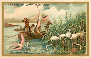 Jagt flamingoer, Spanien (chromolitho) af French School