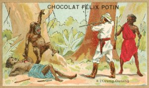 Jagt orangutang (chromolitho) af French School
