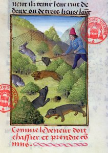 Jagt kaniner med hunde og net, fra Livre de la Chasse af Gaston Phebus, begyndelsen af det 15. århundrede af French School