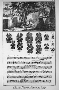 Jagt ulven (forskellige måder eller fælder at fange ulvene på) - "" Den Store Encyclopedie, eller Dictionnaire Raisonne des Sciences, des Arts et des Metiers"" (Encyclopedia or Dictionary of the Sciences, Arts and Professions) af Denis Diderot (1713) -1784 af French School