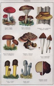Illustration til "mon docteur - traite de medecine et d