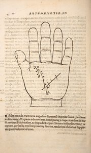 Illustration fra Chiromantia af Joannes Indagioe, Strasbourg, 1531 (tryk og gravering) af French School