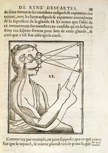 Illustration fra De Homine Figuris af Rene Descartes (1596-1650) udgivet i Haag, 1662 af French School