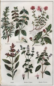 Illustration fra "Mon docteur, traite de medecine et d
