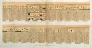 Illustrationer af et Pampus-manuskript med hieroglyffer, Hypogees, Theben, plade 75 fra bind II af `Descriptions of Egypt`, indgraveret af Willemin, pub. 1822 (akvatint)