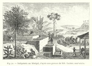 Indigoterie i Senegal, efter en gravering af Seb, Leclerc, 1600-tallet (gravering) af French School