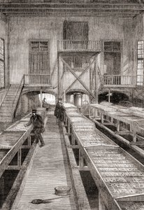 Interiør af en fiskefarm fra det 19. århundrede i Huningue, Frankrig, fra Les Merveilles de la Science, udgivet ca. 1870 (gravering) af French School