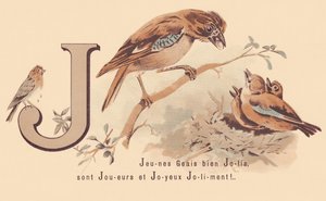 J: Young Jays Pretty er spillere og glad Jolily! af French School