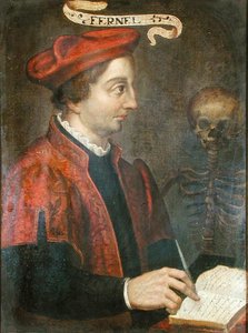 Jean Fernel (ca. 1497-1558) (olie på lærred) af French School