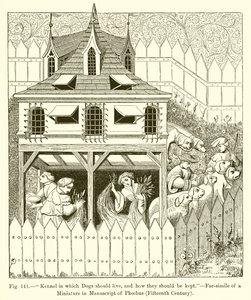 Kennel, hvor hunde skal leve, og hvordan de skal holdes af French School