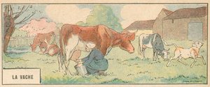 La Bache (Sort Litho) af French School