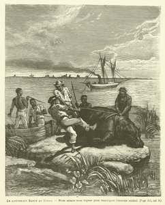 Løjtnant Harou i Congo (gravering) af French School