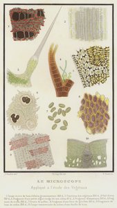 Mikroskopet, anvendt til undersøgelse af planter (farve litho) af French School