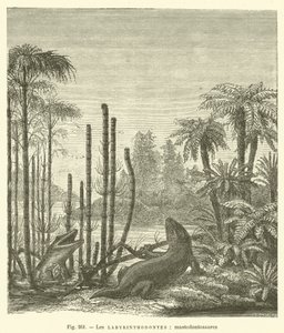 Les labyrinthodontes, mastodontosaures (gravering) af French School