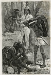 Les porters (caucheros), i Darien (region i det østlige Panama), gravering efter en tegning af D. Maillart, for at illustrere historien Exploration at the isthms of Panama and Darien, af A. Reclus, skibsløjtnant, fra 1876 til 1878 , offentliggjort i tour d af French School
