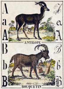 Bogstav A Antilope; B Ibex. Indgravering i "" Alphabet des animaux sauvages "". 9. serie. Billede af Epinal, Pellerin, trykkeri-udgiver, ca. 1870. Graveringer på træ, stencileret. 16 sider. Mål: 20 x 15 cm. Privat samling af French School