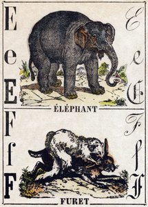 Bogstav E Elefant; F Ilder. Indgravering i "" Alphabet des animaux sauvages "". 9. serie. Billede af Epinal, Pellerin, trykkeri-udgiver, ca. 1870. Graveringer på træ, stencileret. 16 sider. Mål: 20 x 15 cm. Privat samling af French School